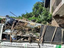 Best Carpet Removal and Disposal  in Waverly, OH